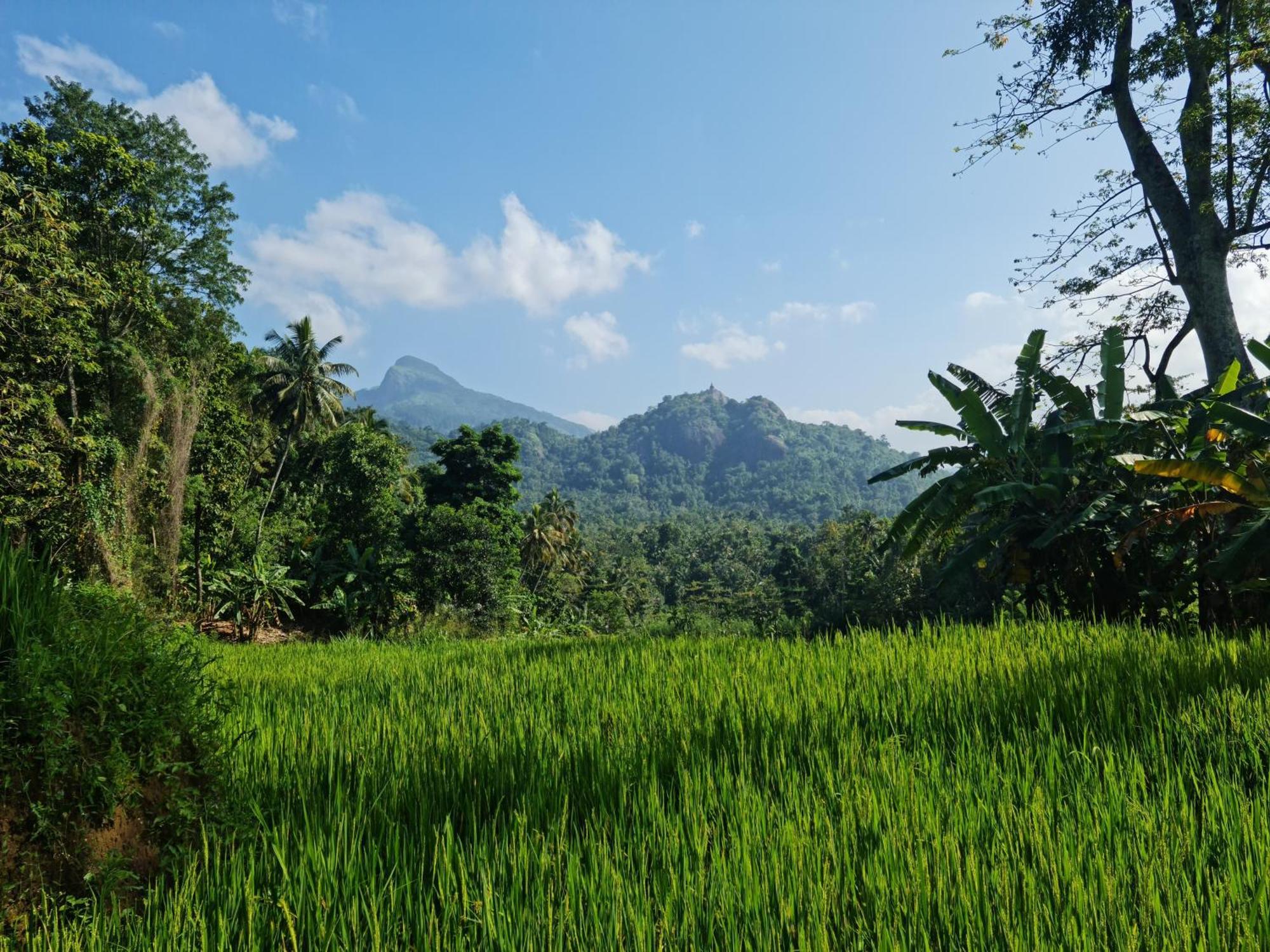 Silver Hill Ecovillage Kurunegala Luaran gambar