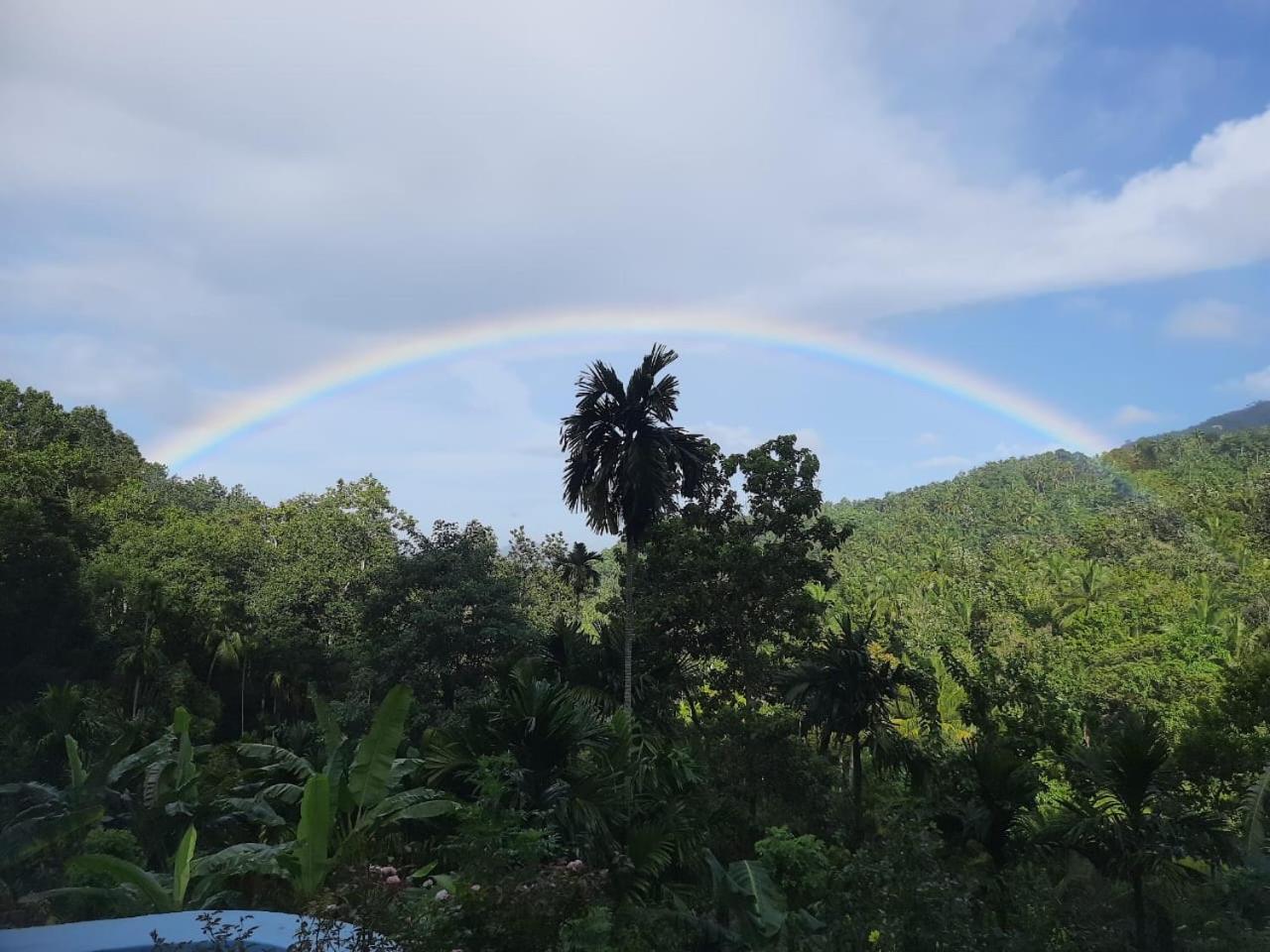 Silver Hill Ecovillage Kurunegala Luaran gambar