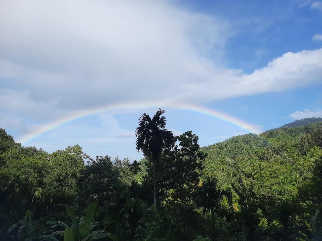 Silver Hill Ecovillage Kurunegala Luaran gambar