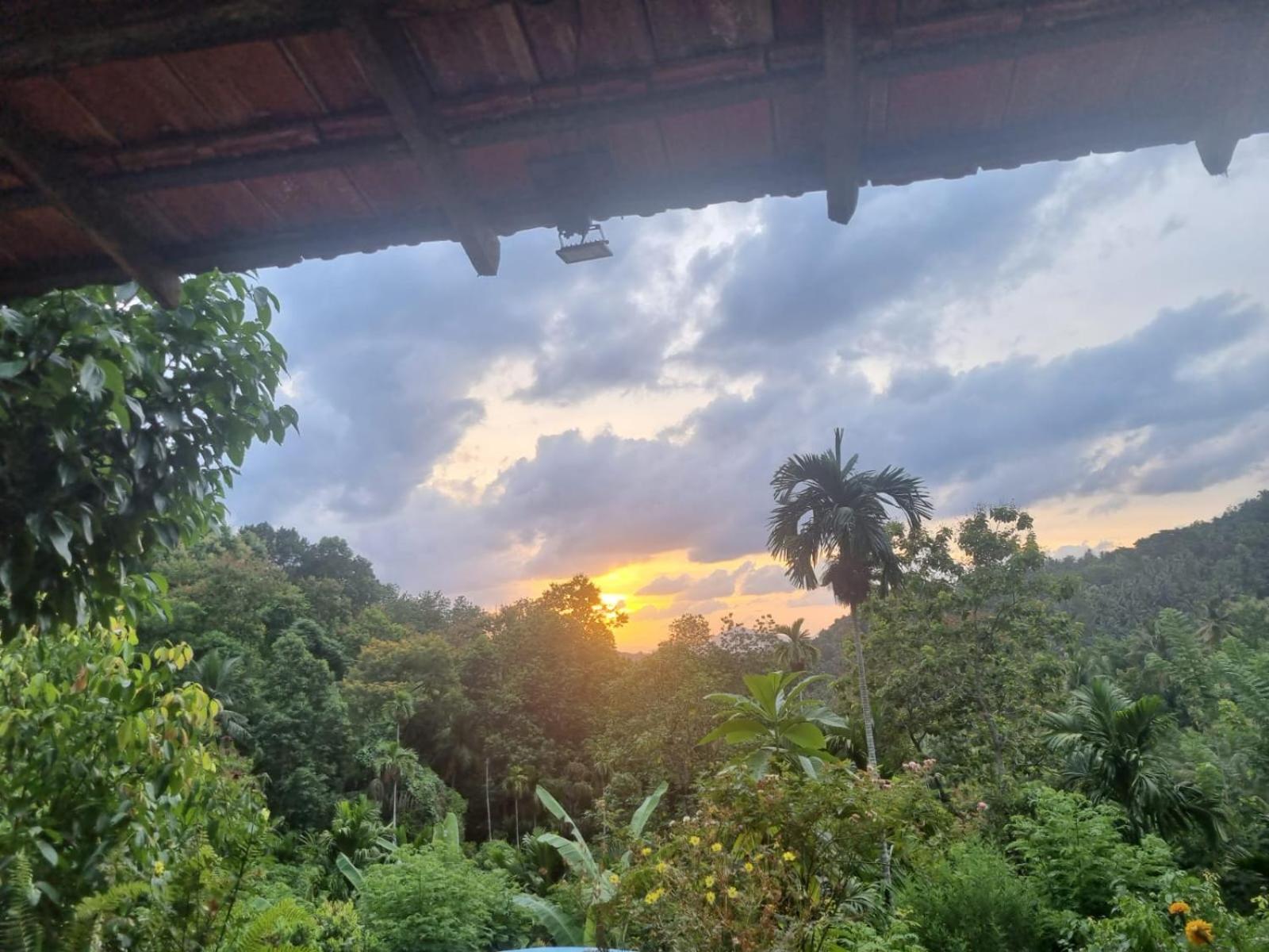 Silver Hill Ecovillage Kurunegala Luaran gambar