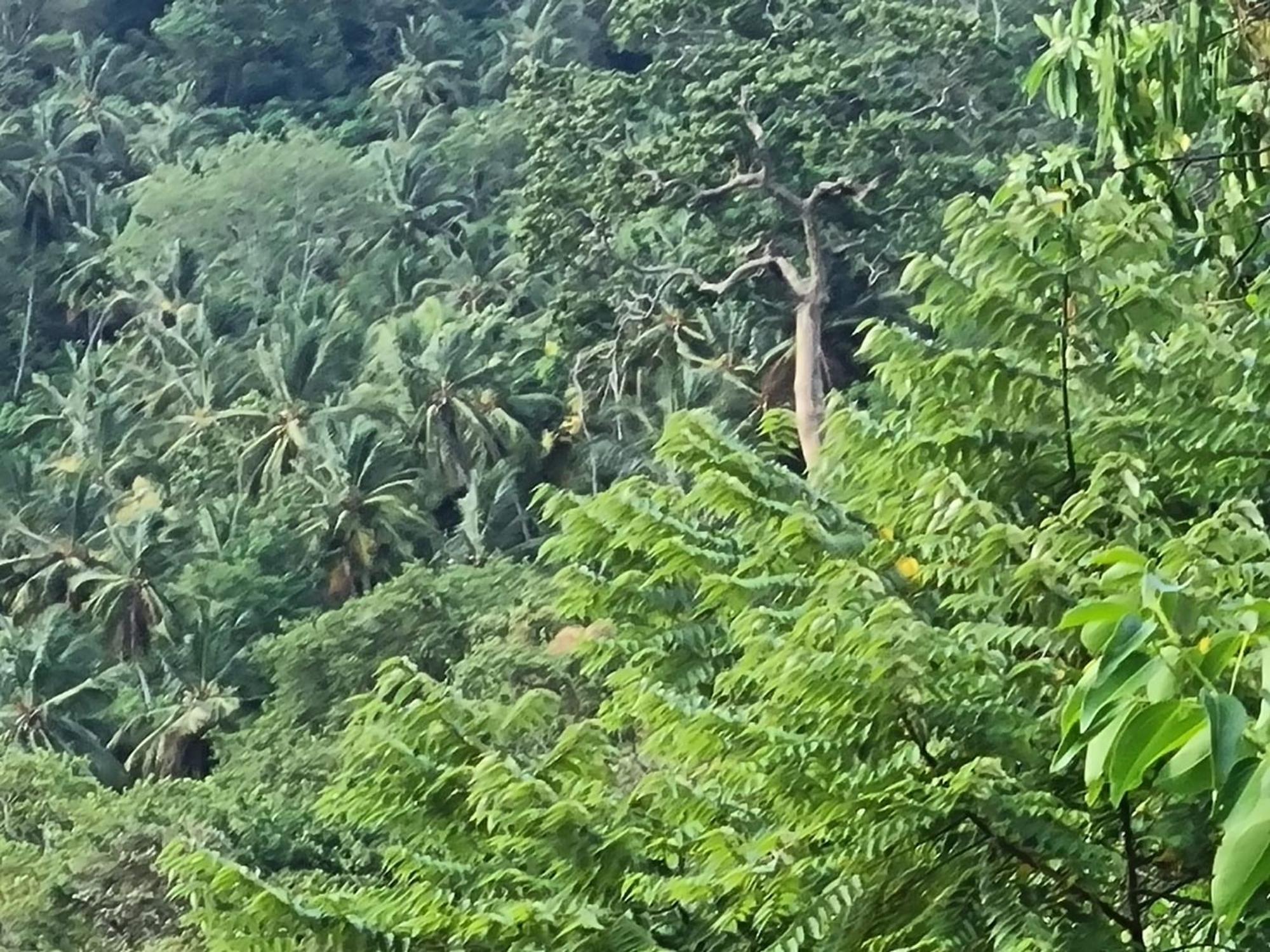Silver Hill Ecovillage Kurunegala Luaran gambar